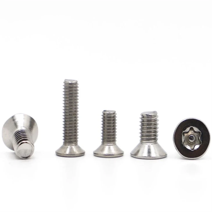 torx anti-theft (7)