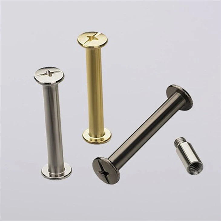 binding screw (4)