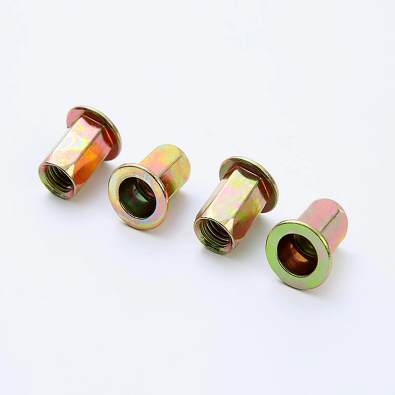 hexagon rivet nut 5