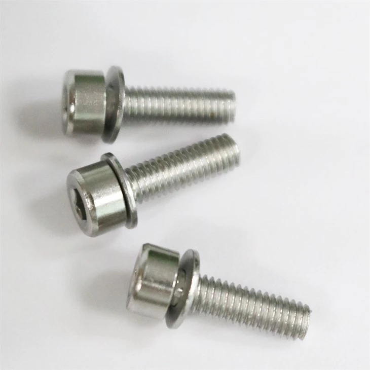 Stainless Steel Combination Screw